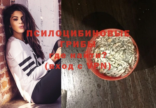 МДПВ Навашино